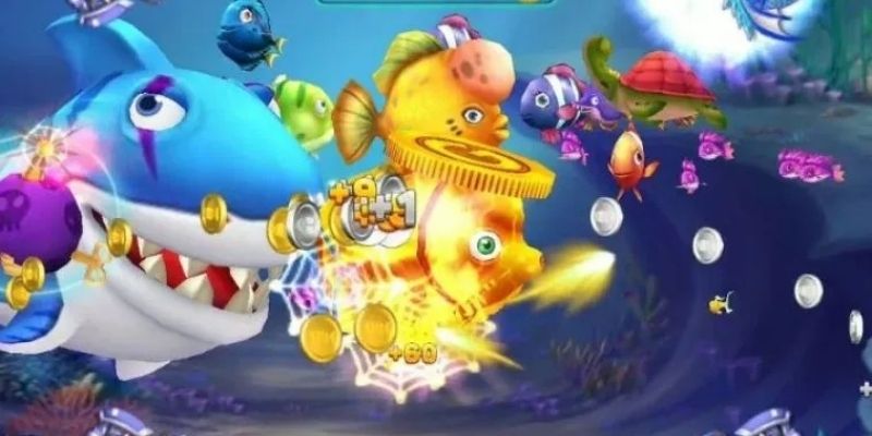 Mẹo tham gia săn cá ăn thưởng lớn ngay tại nhà